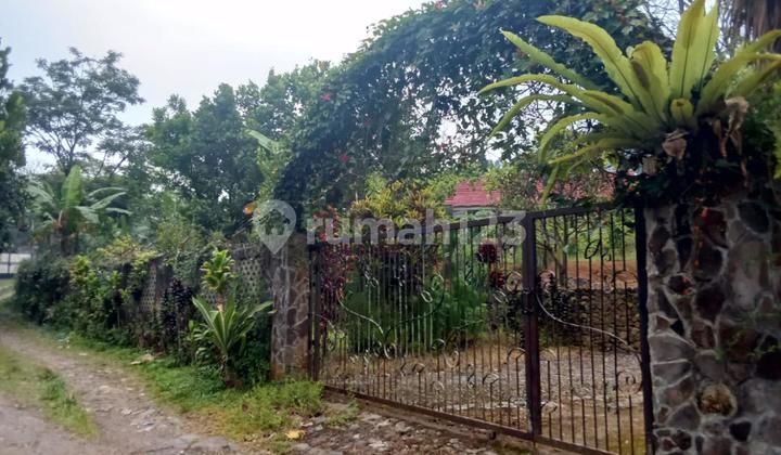 For sale cheap plantation and house in Puncak Bogor strategic location with SHM (certificate of land ownership).