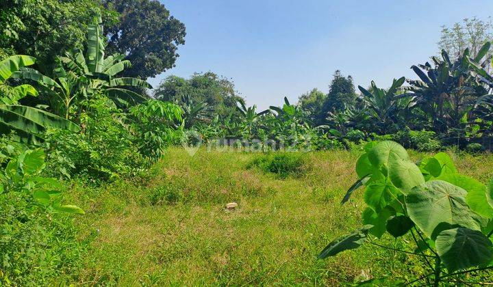 Disewakan Kavling Tempat Usaha Lokasi Strategis Ramai Harga Top 2