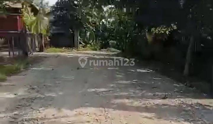 Dijual Tanah Daerah Jalan Raya Ciseeng Bogor Kontainer Bisa Masuk 1