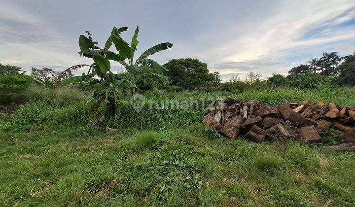 DIJUAL CEPAT TANAH  DIBAWAH NJOP GUNUNG SINDUR 1