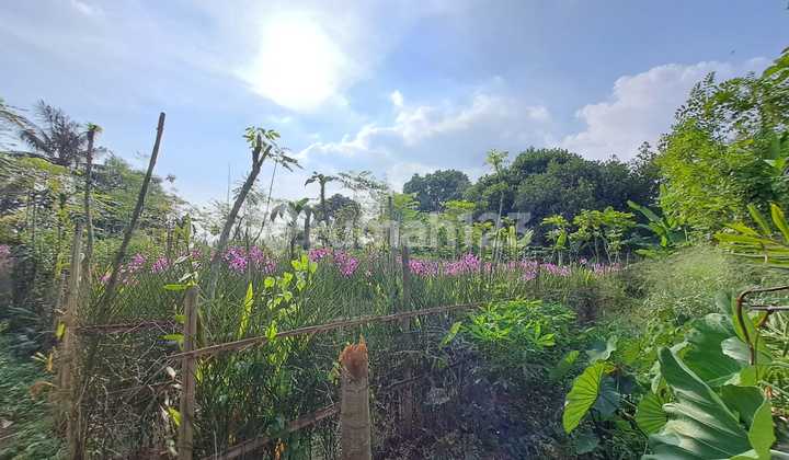 dijual tanah murah di pamulang pinggir jalan dan strategis dijual tanah murah di pamulang pinggir jalan dan strategis