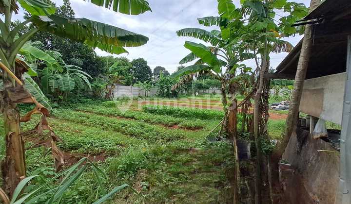 disewakan tanah murah pinggir jalan raya gunung sindur 2