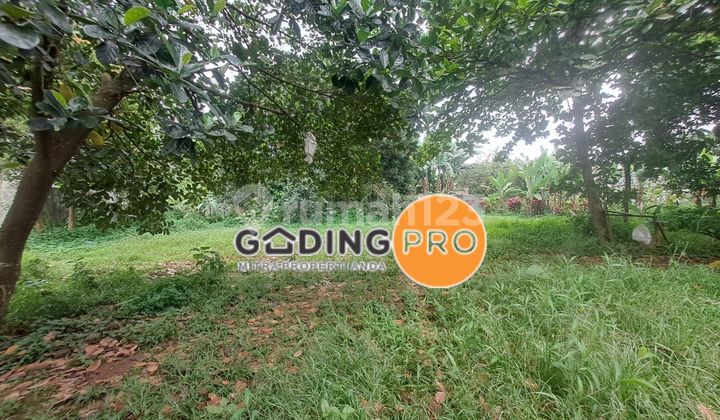 Dijual Tanah Pinggir Jalan Utama Gn Sindur SHM Strategis
