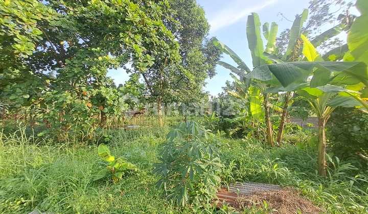 Tanah murah dan luas dibawah harga pasar curug gunung sindur SHM