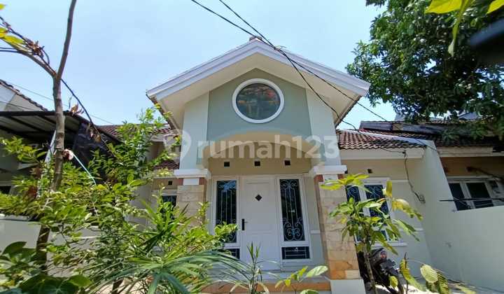 dijual rumah siap huni bagus da bersih paradise serpong city dijual rumah siap huni bagus da bersih paradise serpong city