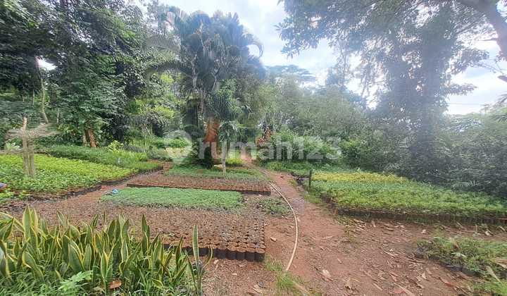 For sale quickly cheap land and flower garden in strategic Bogor with SHM