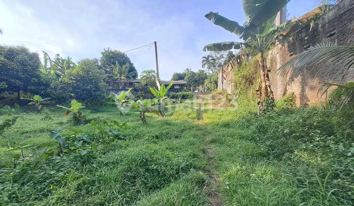 Tanah Murah Dibawah Harga Pasar Curug Gunung Sindur SHM Tanah Murah Dibawah Harga Pasar Curug Gunung Sindur SHM