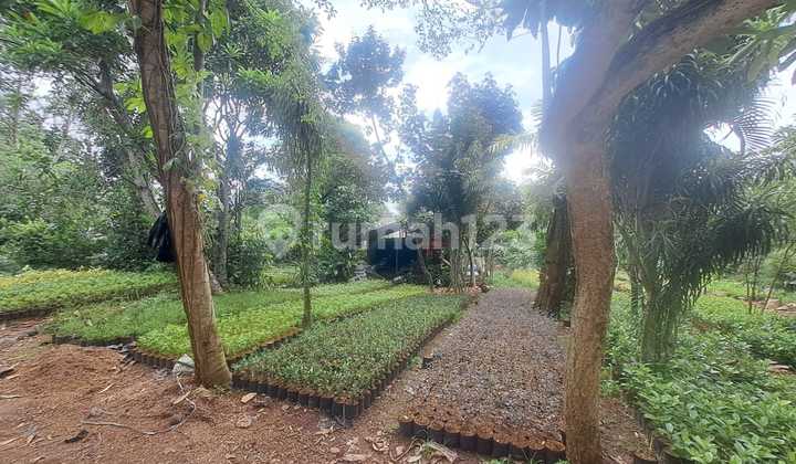 For sale quickly cheap land and flower garden in strategic Bogor with SHM