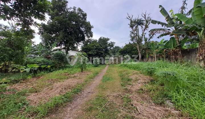 Dijual Tanah Murah Pinggir Jalan Rawa Kalong Lokasi Strategis