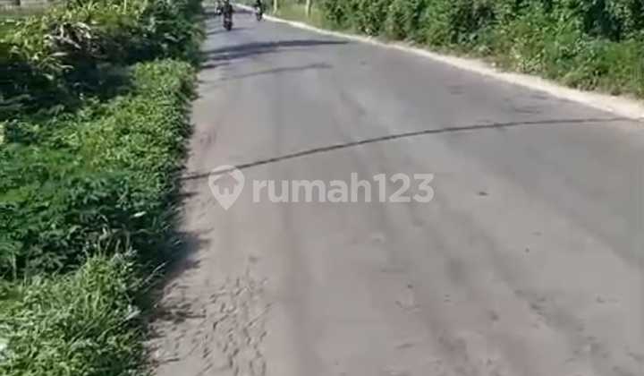 Tanah Murah Pinggir Jalan Raya Guci Tegal Tanah Murah Pinggir Jalan Raya Guci Tegal