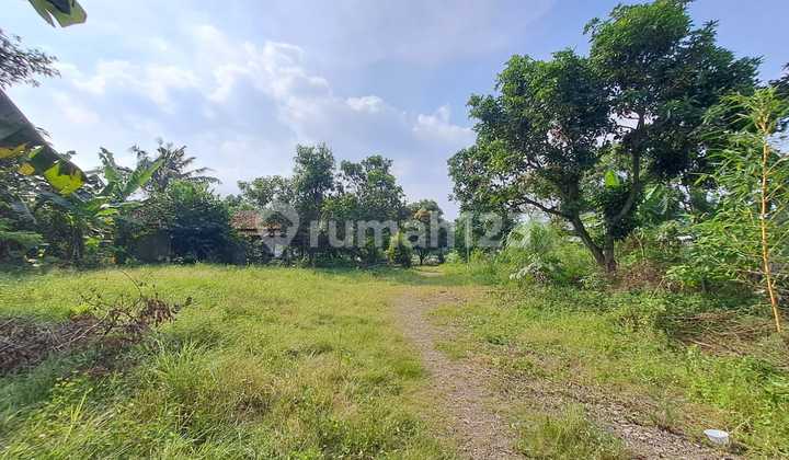 Dijual Tanah Murah dan Luas di Pamulang Pinggir Jalan Lokasi Strategis SHM Dijual Tanah Murah dan Luas di Pamulang Pinggir Jalan Lokasi Strategis SHM