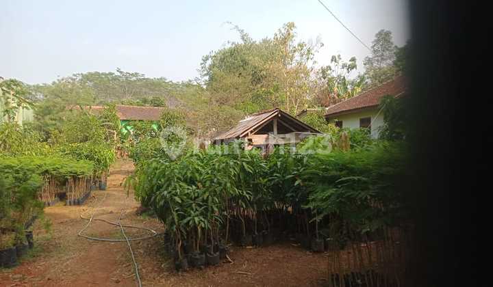 Tanah pinggir jalan raya utama pekalongan jawa tengah lokasi strategis SHM