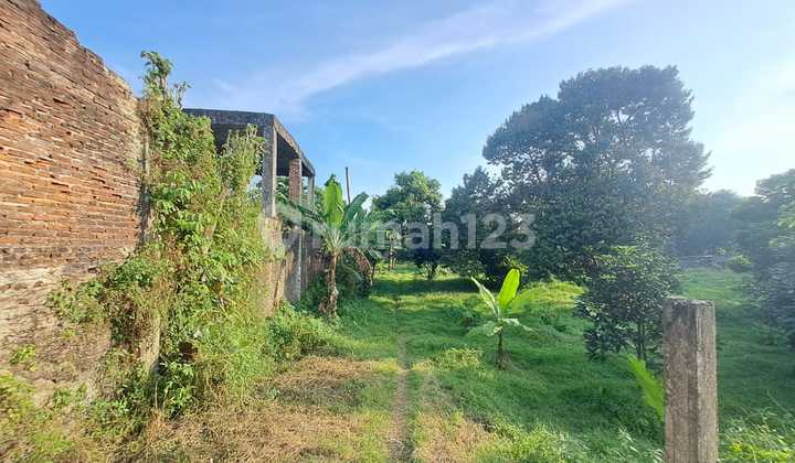 Tanah Murah dan Luas Dibawah Harga Pasar Curug Gunung Sindur SHM Tanah Murah dan Luas Dibawah Harga Pasar Curug Gunung Sindur SHM