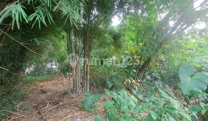 For Rent: Land Facing the Main Road - Strategic & Busy Puspitek Raya, South Tangerang For Rent: Land Facing the Main Road - Strategic & Busy Puspitek Raya, South Tangerang