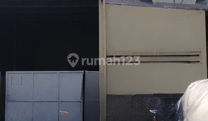 Gudang Elang Laut Pik 