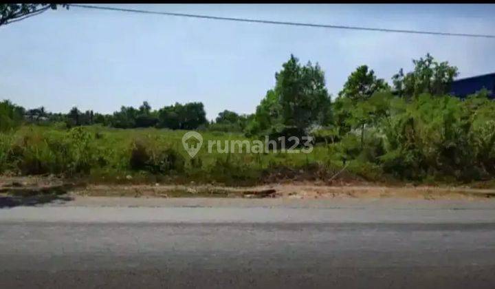 Tanah SHM Lokasi Pinggir Jalan di Jl. A. Yani Km 23 Arah Pelaihari, Banjarmasin 2