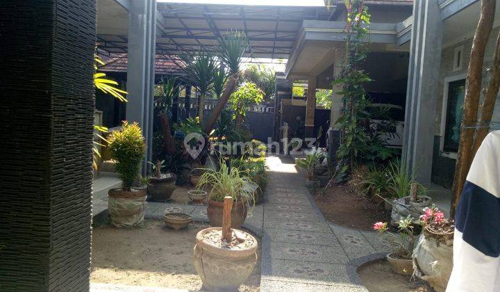 Cheap, Nice Style House, Villa in Elite Panjer Area Close to Campus 1