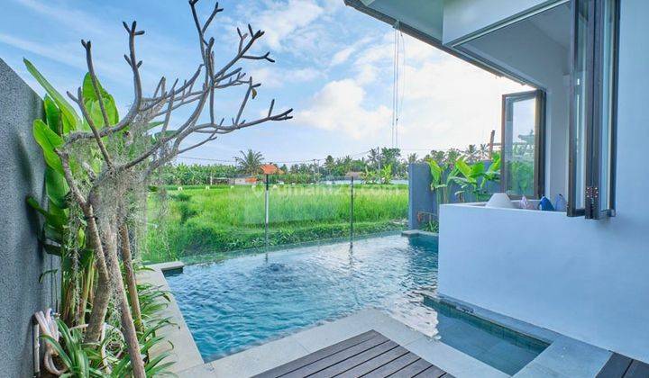 Villa Murah Bagus di Area Ubud Gianyar View Sawah Yang Sejuk 1