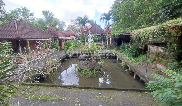 Dijual Tanah Bonus Bangunan area Mas Gianyar cocok untuk Villa 2