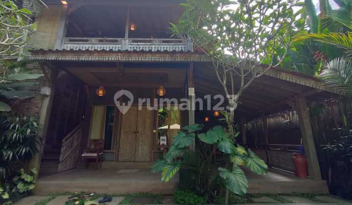 Affordable Villa for Sale in Payangan with a peaceful and comfortable countryside atmosphere.