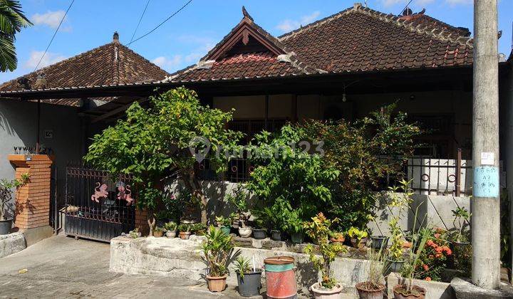 Dijual Rumah Murah 1 Lantai Jln Karangsari Denpasar Dkt Tunasdaud 2