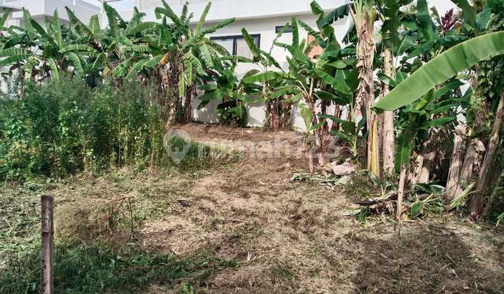 Disewakan Tanah Kosong di Kawasan Villa Berlokasi di Jalan Veteran Buduk Mengwi Badung