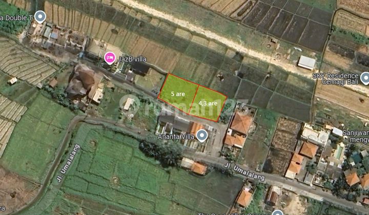 Dijual Tanah Komersil di Cemagi Badung Dekat ke Pantai dan Kawasan Lingkungan Villa Dijual Tanah Komersil di Cemagi Badung Dekat ke Pantai dan Kawasan Lingkungan Villa