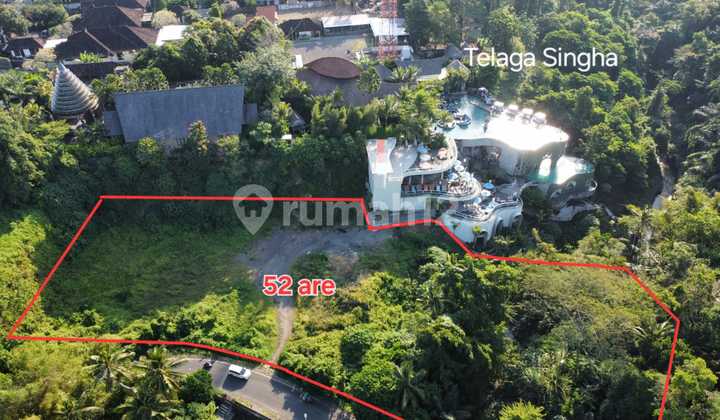 Dijual Tanah Kosong view jungle di Singapadu dekat Telaga Singha. Cocok untuk resto dan villa komplek