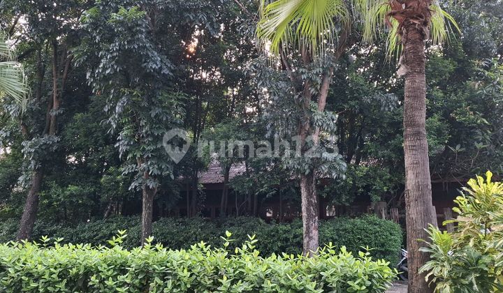 For Sale: Plotted House in Puspita Loja, BSD Serpong, South Tangerang For Sale: Plotted House in Puspita Loja, BSD Serpong, South Tangerang