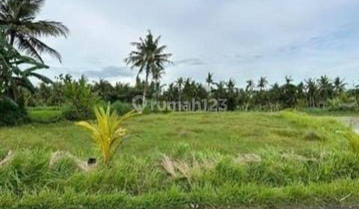 Tanah Strategis di Gianyar Bali Dekat Ke Pantai Saba 1