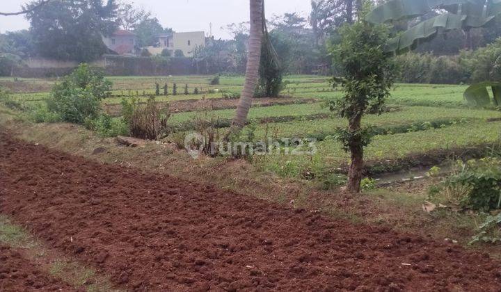 Tanah Luas Cocok Untuk Perumahan, Rumah Sakit, Sekolah, Ruko, Pasmod, Kantor Dll di Jombang Raya , Jombang 1