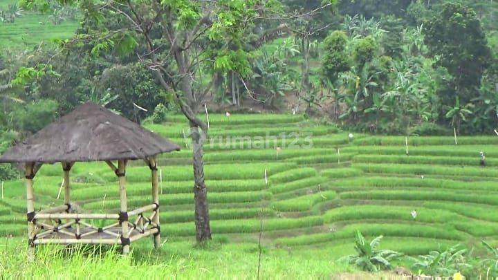 Tanah kavling SHM, siap bangun villa/rumah permanen, udara sejuk 2