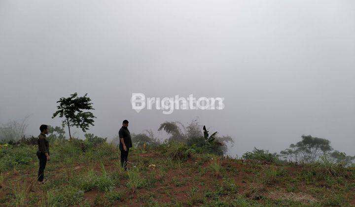 Tanah kavling di kawasan puncak dua Bogor, siap bangun villa 1