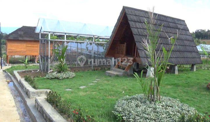 Tanah kavling wisata kebun anggur dan villa kayu, udara sejuk 2