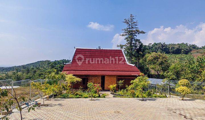 Tanah kavling murah, strategis jalur wisata puncak dua Bogor 1