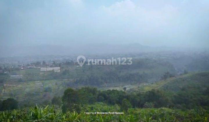 Tanah Kavling 100 m² Legalitas SHM di Cipanas Puncak  2