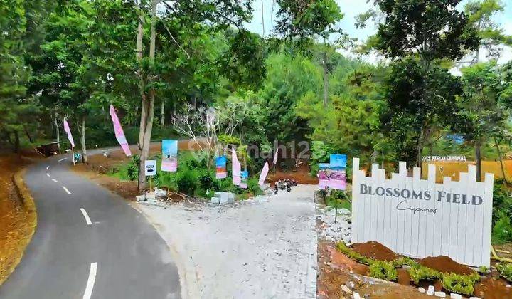 Tanah Kavling Di Kawasan Wisata 100 m² SHM Siap Bangun Villa  2