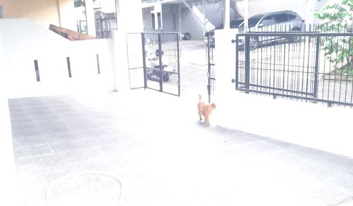 For Rent 2 Bedroom House in Nusaloka BSD 2