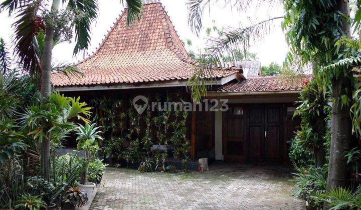 Dijual Cepat Rumah Joglo Jepara Antik Classic Tanah Luas 1