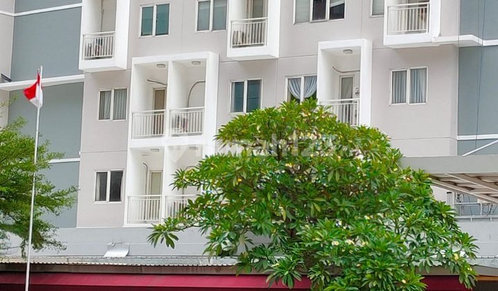 Di Sewakan Apartemen Uc Murah Cocok Untuk Mahasiswa