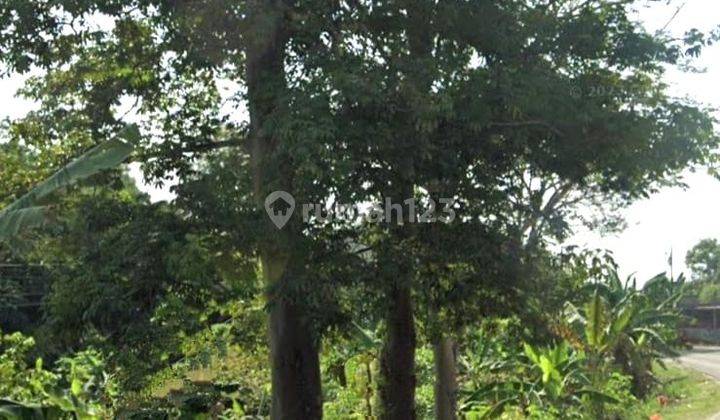 Dijual Tanah Lahan Kosong Daerah Cikande Rangkasbitung, Serang, Banten