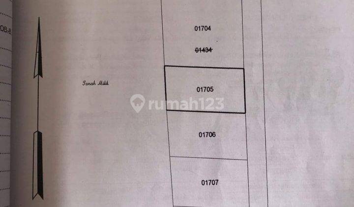 Tanah di Jalan Antasura denpasar Utara 250 HS m² 2