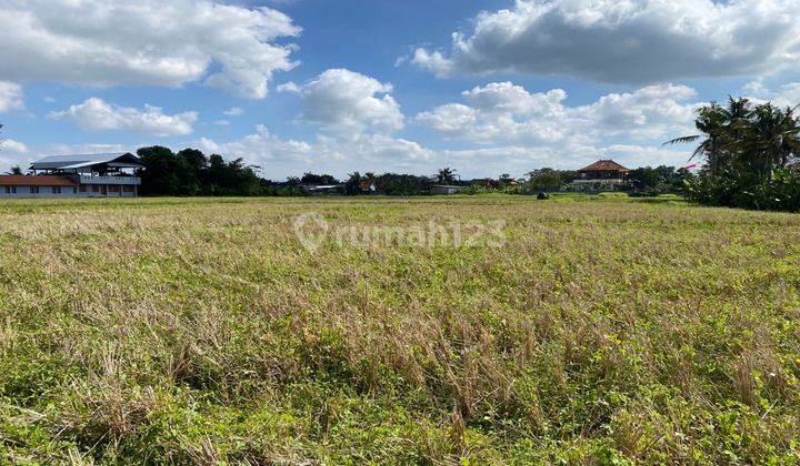 Land in Tabanan connected, Connected SHM - Freehold Certificate 300 Squaremeters 2