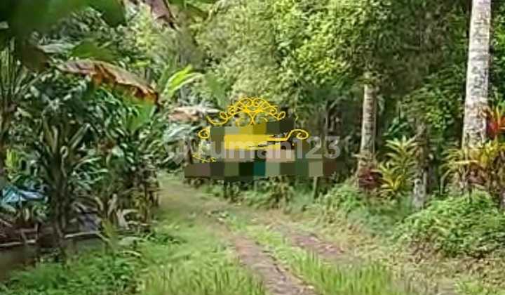 Pasti Closing Di Jual Tanah Lokasi Pancoran Subrata Selemadeg Barat Tabanan