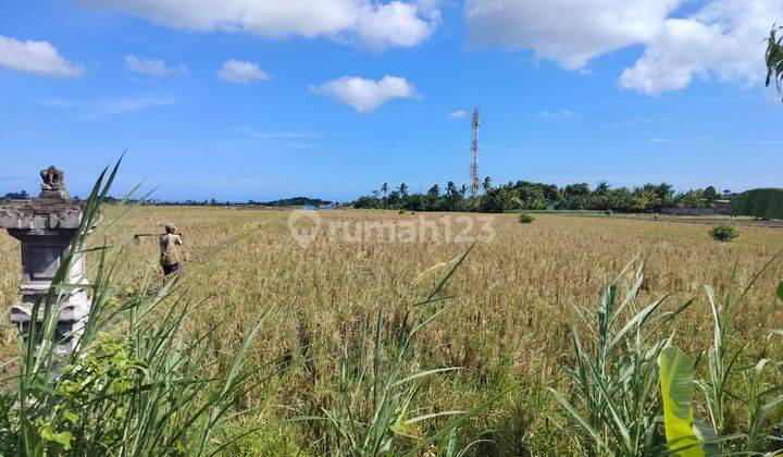 SURE CLOSING FOR SALE LAND WITH SEA VIEW LOCATION KELATING KERAMBITAN TABANAN 1