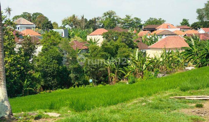 Hot List Land For Sale Kebo Iwas Padangsambian Kaja West Denpasar 2