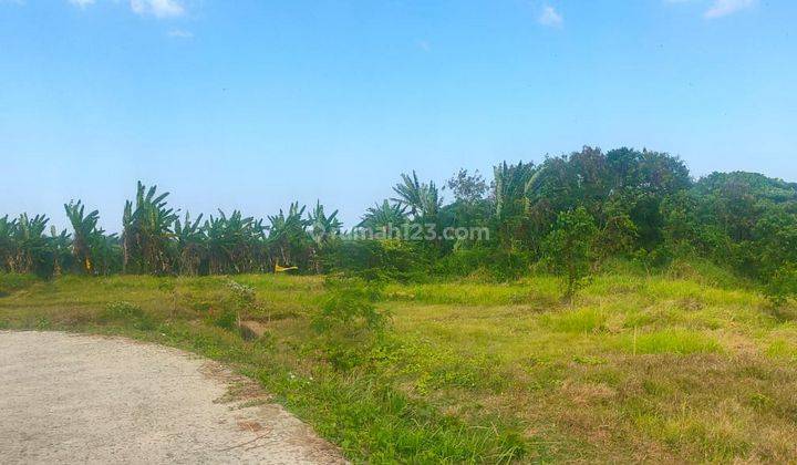 Hot List Di Jual Tanah View Sungai Sawah Laut Lokasi Kedungu Kediri Tabanan 1