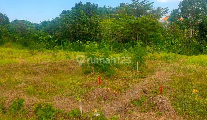 Hot List Di Jual Tanah View Sungai Sawah Laut Lokasi Kedungu Kediri Tabanan 2