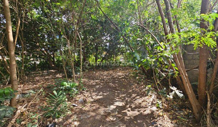 Hot List of Land for Sale in Umalas Kerobokan, North Kuta 1