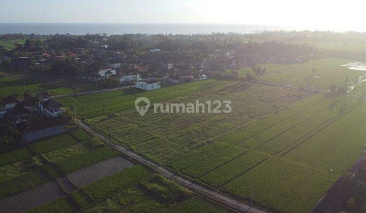 Hot List Di Jual Tanah View Gunung Sawah Lokasi Kedungu Kediri Tabanan  1